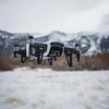 Filtrai PolarPro Mavic Air 3 pakuočių standartinė serija