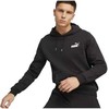 Puma ESS+ 2 Col Mažas logotipas Hoodie FL M 674471 61