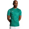 Vyriški marškinėliai Puma teamULTIMATE žalia 705371 05 (M)
