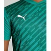Vyriški marškinėliai Puma teamULTIMATE žalia 705371 05 (M)