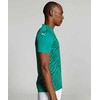 Vyriški marškinėliai Puma teamULTIMATE žalia 705371 05 (M)
