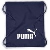 Puma Phase Sportinis Maišelis 79944 02