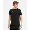 Vyriški marškinėliai Puma teamGOAL 23 Casuals Tee juoda 656578 03 (M)