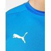 Puma teamGOAL 23 marškinėliai M 704171 02