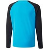 Bluza bramkarska vyriška Puma teamPACER GK LS mėlyna-juoda 704933 40 (M)