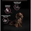 Purina Nestle Šunų Maistas - Purina Pro Plan Suaugusiųjų 7 Kg Lašiša