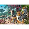 Castorland Dėlionė 3000 vnt. - Tigrai