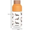 „Quokka Ice“ – „Ecozen“ vandens buteliukas, 570 ml (taksui)