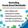 2X24 Puzzles: Rainbow Horses - RAVENSBURGER dėlionė