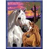 Ravensburger CreArt spalvinimo knygelė vaikams Arkliai ir saulėlydis