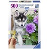 Ravensburger Dėlionė 500 vnt. - Šuniukas haskis