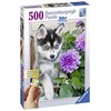Ravensburger Dėlionė 500 vnt. - Šuniukas haskis