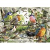 Ravensburger Dėlionė 1000 vnt. - Paukščiai