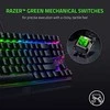 Kompaktiška Žaidimų klaviatūra Razer BlackWidow V3 Tenkeyless, Green Switch, Nordic išdėstymas