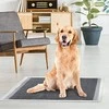 Rinaldo Franco Spa Record AssorbiPiu Anglies paklotai 60x90cm – sugeriantys kilimėliai su aktyvuota anglimi, 30 vnt.