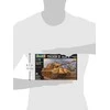 Revell plastikinis modelis 1:72, rudas