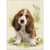 Riolis Basset Hound šuniukas 1578