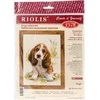 Riolis Basset Hound šuniukas 1578