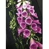 Riolis: Siuvinėjimo rinkinys 1629 Foxgloves