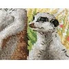 Meerkats siuvinėjimo rinkinys iš RIOLIS Nr.: 1761