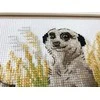 Meerkats siuvinėjimo rinkinys iš RIOLIS Nr.: 1761