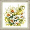Chamomiles siuvinėjimo rinkinys iš RIOLIS Nr.: 1765