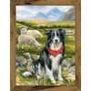 Border Collie siuvinėjimo rinkinys iš RIOLIS Nr.: 1767