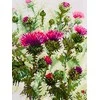 Thistle siuvinėjimo rinkinys iš RIOLIS Nr.: 1852