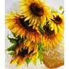 RIOLIS – Create It Yourself – Siuvinėjimo rinkinys „Karšta vasara“ 1488 (40x30 cm)