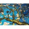 Almond Blossom After V. Van Gogh's Painting siuvinėjimo rinkinys iš RIOLIS Nr.: 1698