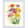 Fragrant Freesia siuvinėjimo rinkinys iš RIOLIS Nr.: 1821