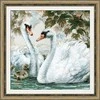 Baltas Swans siuvinėjimo rinkinys iš RIOLIS Nr.: 1726