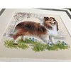 Sheltie siuvinėjimo rinkinys iš RIOLIS Nr.: 1710