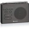 Roadstar CLR-290D BK