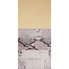 Kvepalai moterims Roberto Cavalli Just Cavalli EDT, 75 ml