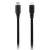 Adapteris Rode SC19 (USB C-Lightning) 1,5m