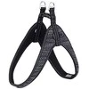 Rogz petnešos atšvaitas šuniui Fast-Fit Reflective SJQ63AA (plotis 2cm; apimtis 63cm)