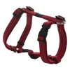 Rogz petnešos atšvaitas šuniui H-Harness Reflective SJ11C (plotis 1,6cm; apimtis 32-52cm)