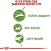 Royal Canin Outdoor 2kg