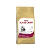 Royal Canin Persian Kitten 400g