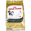 Royal Canin Norwegian Forest Cat 10kg
