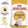 Royal Canin Ragdoll 10kg