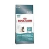 Royal Canin Hairball Care 10kg