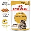 Royal Canin FBN Cat Maine Coon padažas 12x85 g