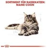 FBN Cat Maine Coon padažas 12x85 g