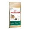 Royal Canin Maine Coon Adult 10kg