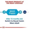 Royal Canin Maxi Junior/Puppy 15kg