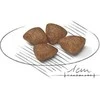 Royal Canin Mini Starter Mother &amp; Babydog 1kg