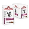 Royal Canin RC VD Cat Renal jautiena 85g konservuotas pašaras katėms