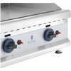Royal Catering Dvigubas lygus reguliuojamas nerūdijančio plieno dujinis grilis gamtinėms dujoms 2x 3,1 kW 0,02 baro 60 x 40 cm